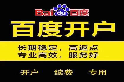 探索百度竞价广告的未来趋势：基于多案例的分析